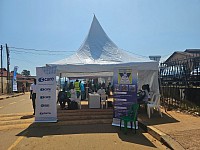 Diamond Jubilee preparations